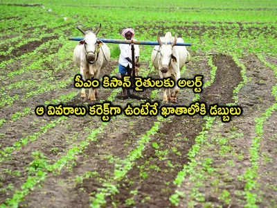 PM KISAN: రైతులకు అలర్ట్.. ఇవన్నీ కరెక్ట్‌గా ఉంటేనే పీఎం కిసాన్ సాయం.. ఓ సారి చూసుకోండి!