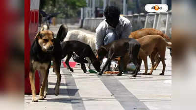 Street Dog Lover : পথের কুকুরকে খেতে দেওয়ার অপরাধে গ্রামছাড়া ৩ পরিবার