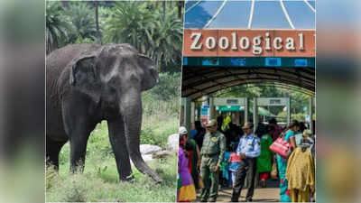 Nehru Zoological Park: నెహ్రూ జూపార్క్ సందర్శకులకు బ్యాడ్‌న్యూస్.. టికెట్ ధరలు మరింత పెంపు