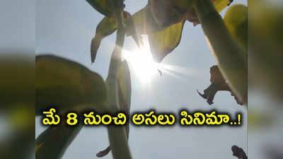 Heat Waves: కూల్ సమ్మర్ ఎంజాయ్ చేస్తున్నారా?.. అయితే ఆగండి, ముందుంది ముసళ్ల పండగ!