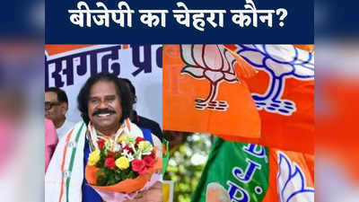 Chhattisgarh News: BJP में नंद कुमार साय की काट हो सकती है ये महिला नेता? चुनाव से पहले 5 चेहरों पर बड़ा दाव खेल सकती है भाजपा