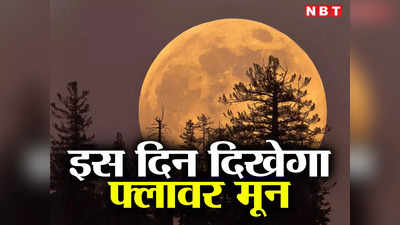 Flower Moon Date Time: चंद्र ग्रहण ही नहीं फ्लावर मून देखने के लिए भी हो जाइए तैयार, जानें क्या है चांद का फूलों से रिश्ता