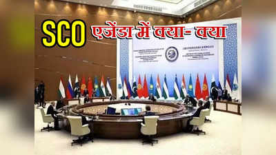 SCO Summit 2023: बिलावल आ रहे भारत, रूस-यूक्रेन के बीच तेज हुई जंग, SCO की बैठक का क्या रहेगा एजेंडा