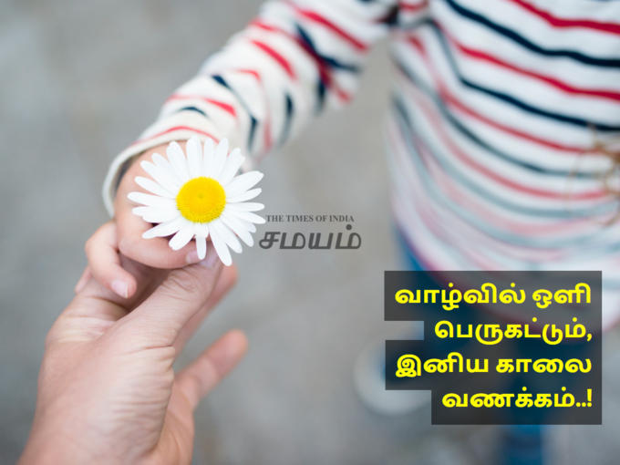 காலை வணக்கம்..