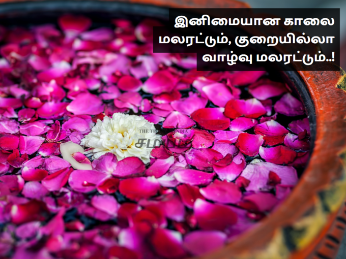 இனிய காலை வணக்க செய்திகள்..