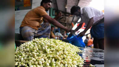 மல்லிகை பூ விலை கடும் உயர்வு.. பெண்களுக்கு மீண்டும் தலைவலி!