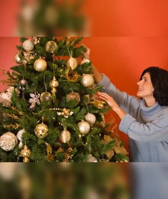 Christmas Party Decorations