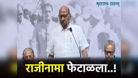 Sharad Pawar : शरद पवारच राष्ट्रवादीचे अध्यक्ष, निवड समितीनं राजीनामा फेटाळला, आता पवारांच्या निर्णयाकडे लक्ष