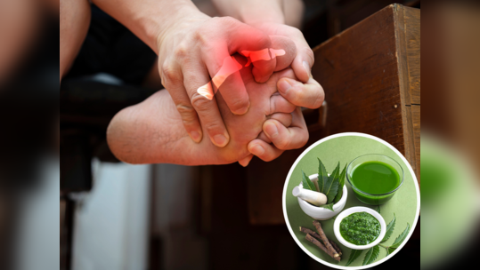 Ayurvedic Treatment : युरिक अ‍ॅसिडला मुळापासून उपटून टाकतील या ५ आयुर्वेदिक वनस्पती, औषधांची गरजच लागणार नाही