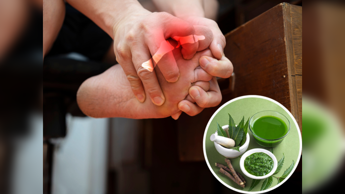 Ayurvedic Treatment : युरिक अ‍ॅसिडला मुळापासून उपटून टाकतील या ५ आयुर्वेदिक वनस्पती, औषधांची गरजच लागणार नाही