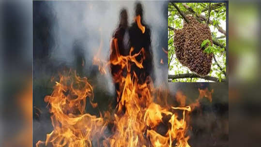 Honey bee attack : पार्थिव सरणावर रचले, इतक्यात मधमाश्यांचे मोहोळ उठले, स्मशानभूमीत ४२ जण जखमी