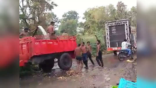 Video : ओ शेठ तुम्ही नादच केला थेट; पिकाला सॉल्लिड भाव, शेतकऱ्याचा डीजे लावून भन्नाट डान्स