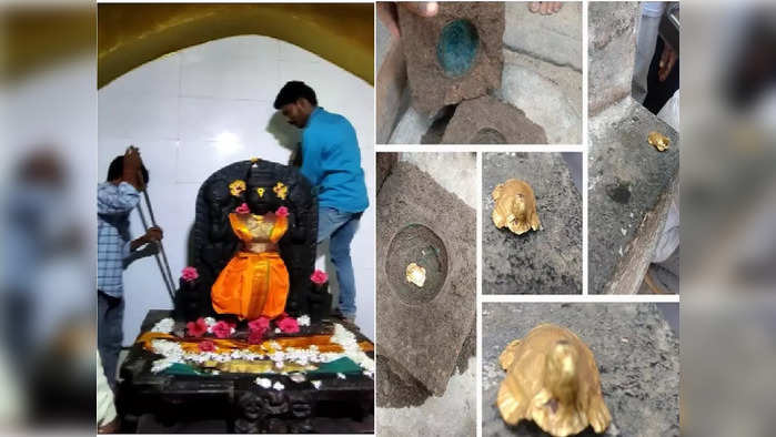 महादेवाच्या पिंडीखाली सोन्याचे कासव सापडले