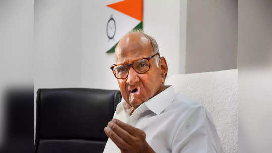 Sharad Pawar : शरद पवारांचा चव्हाणांवर बोचरा वार, फडणवीसांना एकाच वाक्यात उत्तर अन् राऊतांबद्दल म्हणाले...