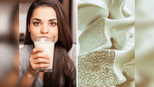 Calcium Foods : अहो दूध-पनीर सोडा, खा हे 10 पदार्थ, हाडांना मिळेल 100 पट कॅल्शियम, पडलात तरी तुटणार नाहीत हाडे