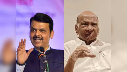 Devendra Fadnavis : पवारांच्या टीकेला फडणवीसांचं प्रत्युत्तर; म्हणाले, निपाणीच्या लोकांनी पार्सल परत पाठवलं