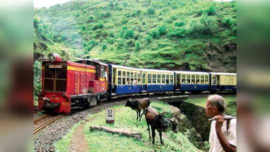 मिनीट्रेनमध्ये पर्यटकांचा बहर; यंदाच्या चार महिन्यांत इतक्या कोटींचा महसूल