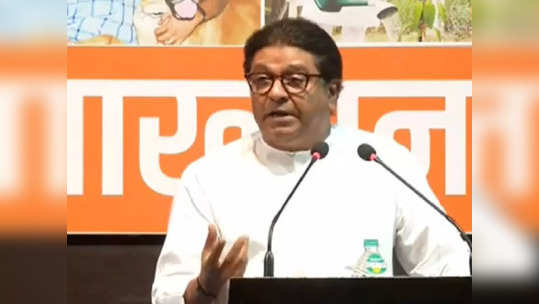 Raj Thackeray : भाजप नेत्यानं अस्तित्वाचा मुद्दा काढला,राज ठाकरेंकडून छोटी माणसं म्हणत किमान शब्दात कमाल अपमान