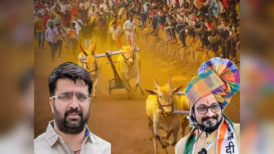 Bullock Cart Race: घाटात राडा होणार पण इकडे कोल्हे-लांडगेंच्या समर्थकांमध्ये ठिगणी पडलीये!