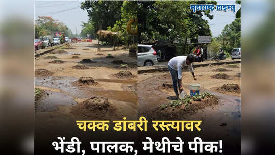 Badlapur Pipeline Road : डोंबिवली-बदलापूर रोडवर होतेय शेती! डांबरी रस्त्यावर भेंडी, पालक, मेथीचे पीक घेण्यास सुरुवात