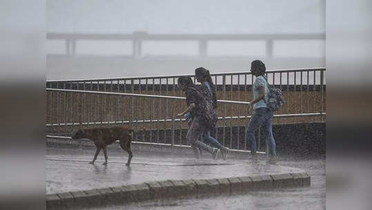 Weather Alert: राज्यात २४ तासांत पावसाची शक्यता, मुंबईला दिलासा नाहीच, या जिल्ह्यांना IMD चा इशारा