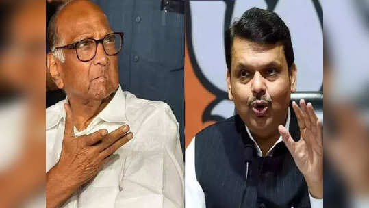 Fadnavis : राष्ट्रवादीने भाकरी फिरवली नाही, तर...; देवेंद्र फडणवीसांनी फोडले नव्या चर्चेला तोंड