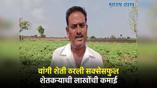 Agri Success Story : पाणी आणि खताचं परफेक्ट नियोजन, वांगी शेतीतून शेतकऱ्यानं करुन दाखवलं, लाखोंची कमाई