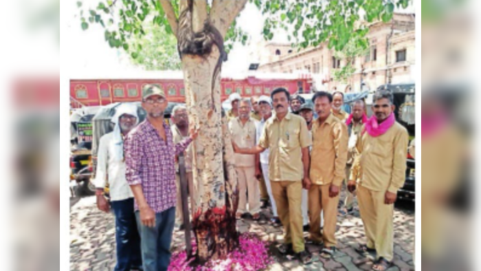 पिंपळ वृक्षाचा दहावा वाढदिवस साजरा करताना लोकसेवा ऑटोरिक्शा संघटनेचे पदाधिकारी.