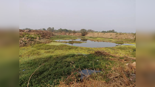 नागपूरातील पाणथळ क्षेत्राबाबत मोठं विधान; शहरातील या जागांबाबत प्राधिकरणाने स्पष्ट सांगितलं...