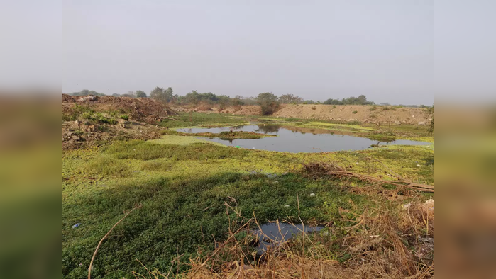 नागपूरातील पाणथळ क्षेत्राताबाबत मोठं विधान