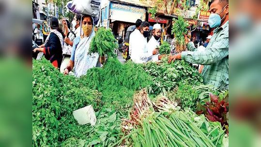 गृहिणींची डोकेदुखी वाढली! नाशिकमध्ये कोथिंबिरीने गाठली शंभरी; जाणून घ्या इतर पालेभाज्यांचे दर