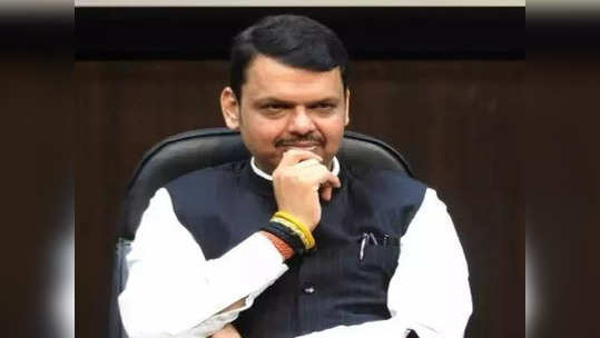 Devendra Fadnavis: काय सांगता! चंद्रपुरात आठ वर्षांचे देवेंद्र फडणवीस, नेमकं प्रकरण काय?