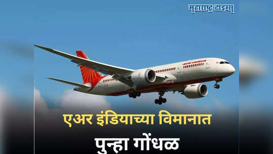 Air India Flight: एअर इंडियात पुन्हा किळसवाणा प्रकार, प्रवाशाने सर्वांसमोर सीटवरच केली घृणास्पद कृती