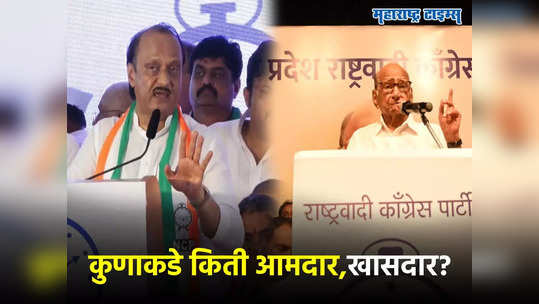 Sharad Pawar : शरद पवार अजित पवारांकडे किती आमदार खासदारांचं पाठबळ? संपूर्ण यादी समोर, कोण ठरलं वरचढ?