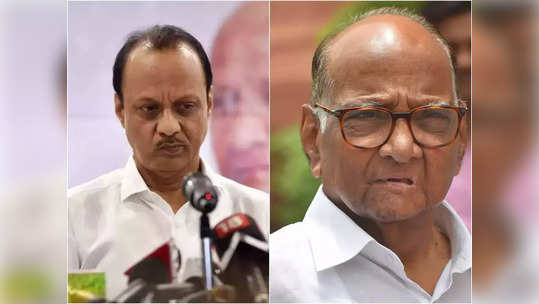 Ajit Pawar Net Worth: शरद पवारांपेक्षा दुप्पटीहून अधिक आहे अजित पवारांची 'मनी पॉवर', दादांची संपत्ती आहे इतके कोटी