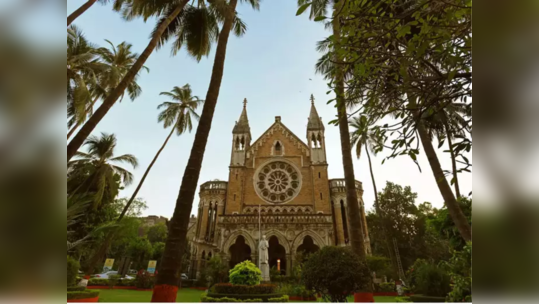 Mumbai University Result 2023: बीएमएस सत्र ६ परीक्षेचा निकाल जाहीर; २०२३ च्या उन्हाळी सत्राचे ८६ निकालांची घोषणा