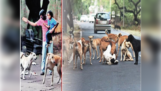 गावागावात थरकाप