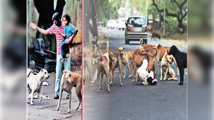 गावागावात थरकाप