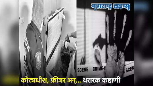 Murder Mystery: आरी, दोरी अन् व्हॅक्यूम सीलर; कोट्यधीशाची हत्या, तुकडे फ्रीजरमध्ये; पाहून पोलिसही हादरले