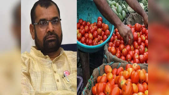 Tomato Rate Hike: टोमॅटो मिळाला नाही तर कोणी टाचा खुडून मेले का; थोड्या दिवसांनी सरण रचायलाही टोमॅटो देऊ: सदाभाऊ खोत