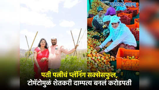 Tomato Farming : पती पत्नीचं प्लॅनिंग सक्सेसफुल, टोमॅटोमुळं अखेर सोन्याचे दिवस,शेतकरी दाम्पत्य बनलं करोडपती