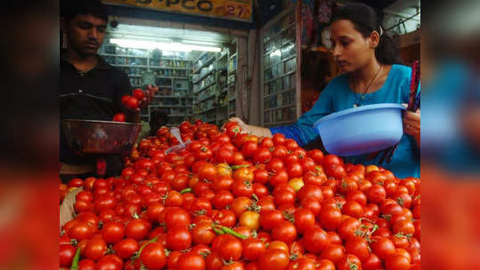 दिलासा! टोमॅटोचे दर आवाक्यात आणण्यासाठी केंद्राचा मोठा निर्णय; सरकारकडून दर निश्चित