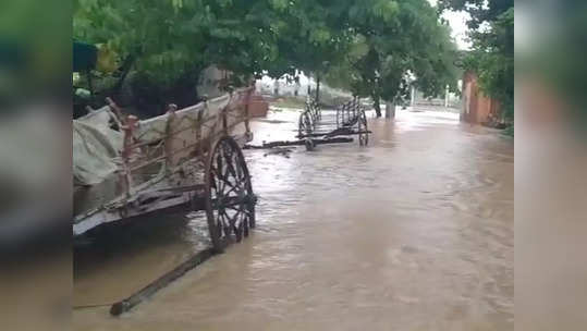 राज्यात सर्वदूर पाऊस; पश्चिम महाराष्ट्र, विदर्भ, उत्तर महाराष्ट्र आणि मराठवाड्यात जोरदार सरी