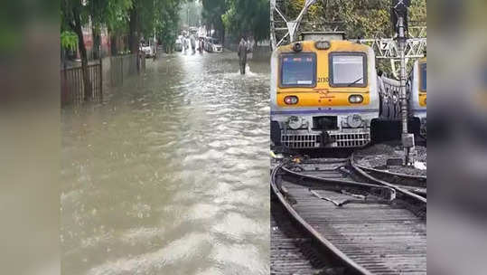 Mumbai Local News: मुंबईत पावसाची जोरदार बॅटिंग,रस्ते वाहतुकीवर परिणाम, लोकल सेवा कुठं झालेली ठप्प, जाणून घ्या