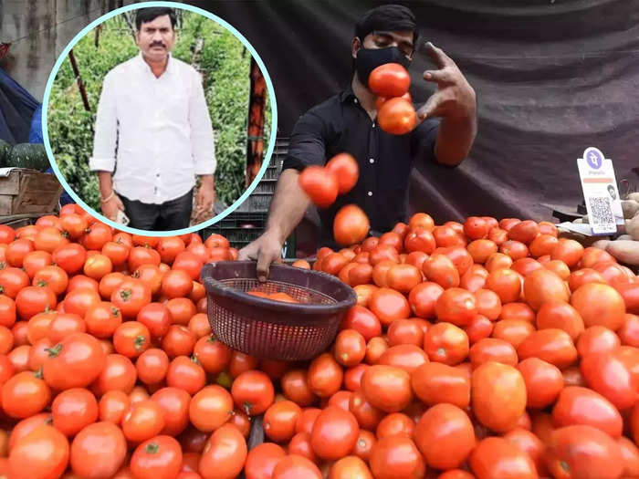 telangana tomato farmer