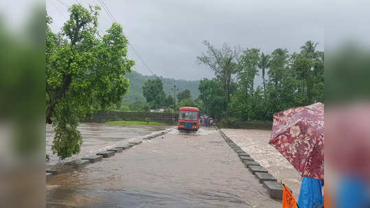 पुलावरून पाणी जात असताना ST चालकाने पूराच्या पाण्यातून बस चालवली, रायगडमधील घटनेचा संतापजनक व्हिडिओ