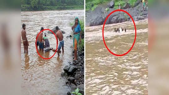 गरोदर महिलेच्या मानेपर्यंत पाणी, रस्त्याअभावी नदीतून जीवघेणा प्रवास, व्यवस्थेचे धिंडवडे काढणारा VIDEO