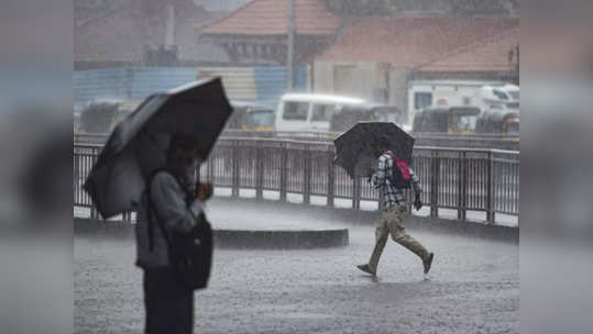 Maharashtra Rain Live News: मुंबई आणि उपनगरातील शाळांना सुट्टी, पावसाच्या इशाऱ्याच्या पार्श्वभूमीवर निर्णय