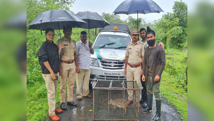 रायगडातील माणगावात आढळले अतिदुर्मिळ हरीण