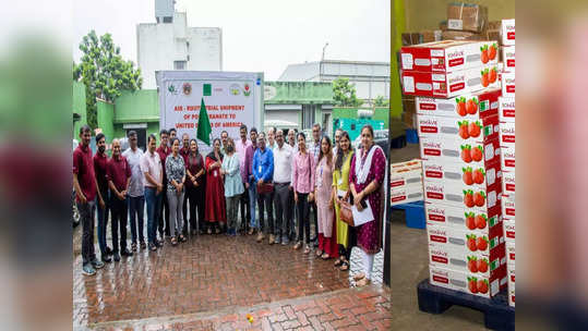 भारतीय डाळिंब हवाई मार्गे अमेरिकेत! निर्यात बंदीनंतर १५० किलो डाळिंबाची पहिली खेप  चार वर्षानंतर न्यूयॉर्कला